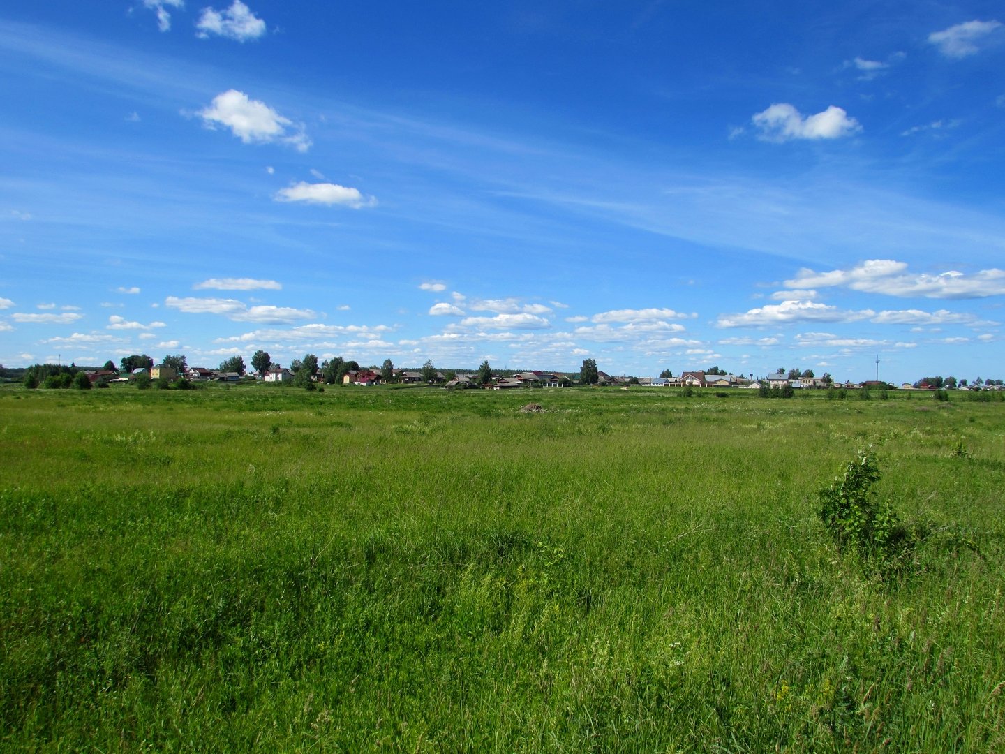 Село костромское. Костромская деревня поле. Деревня Полевая Костромская область. Кострома деревня Деньгино. Деревня стрелково Кострома.