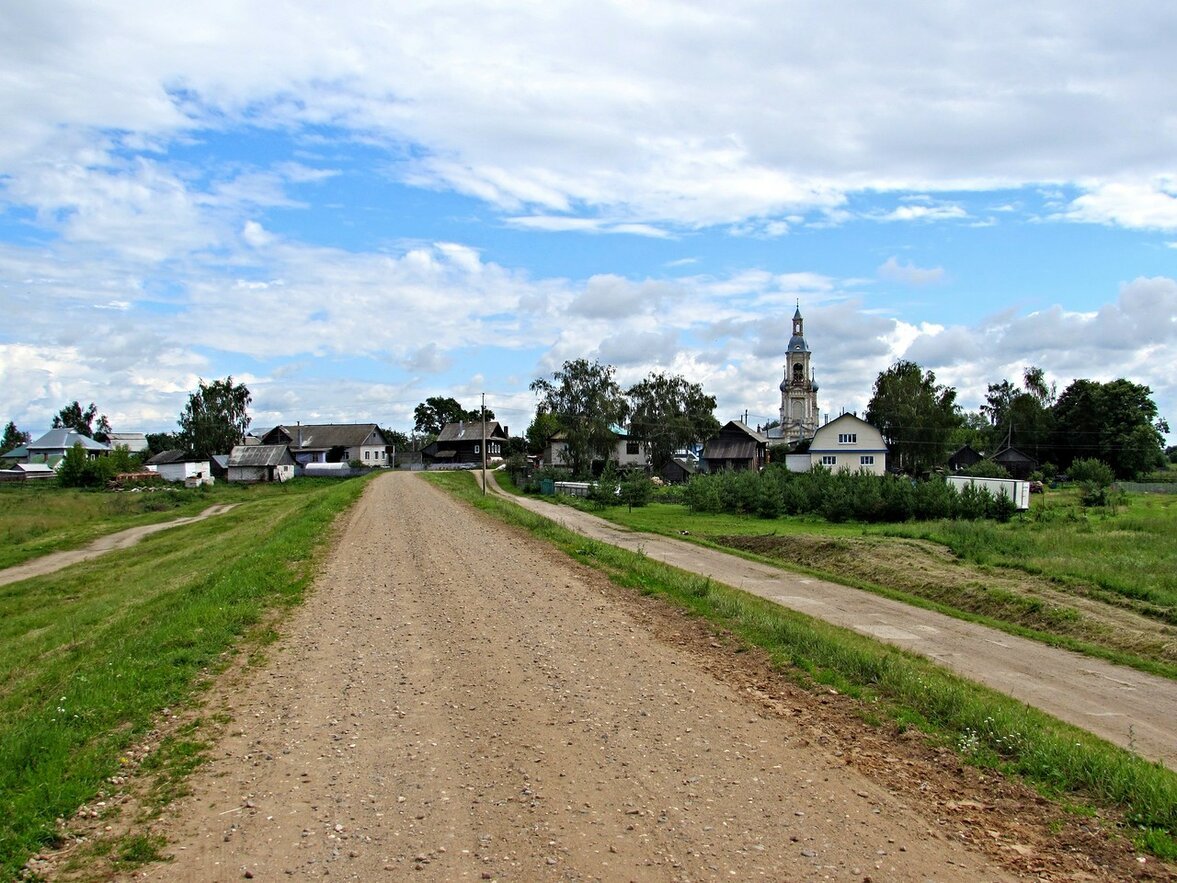 Село костромское. Саметь Костромская область. Село Саметь Буйволы. Деревня котельно Островский район. Саметь Костромская обл животноводство.