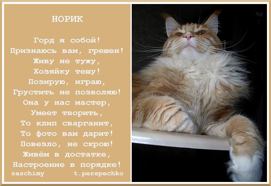 норик полное имя. норик полное имя. норик на карте. артур мгдесян. норик имя.