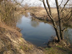 Река Случь в марте