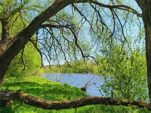 В природной рамке