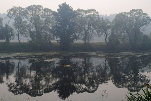 Речной пейзаж с туманом и отражением