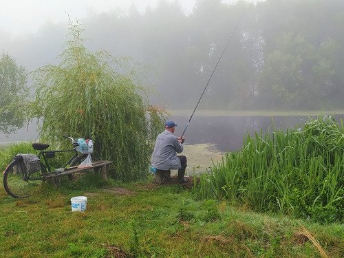 Рыбалка летним утром