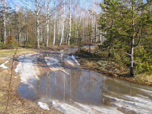 Февральские лужи