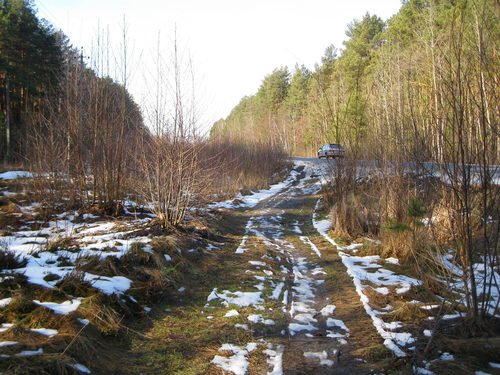 В феврале на Полесье