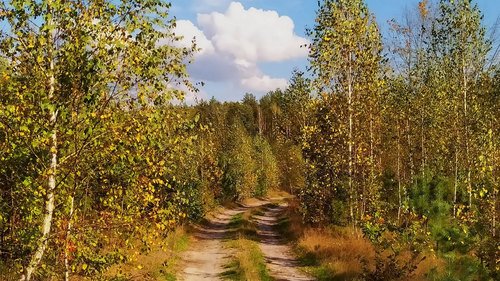 ]Дорога в осень