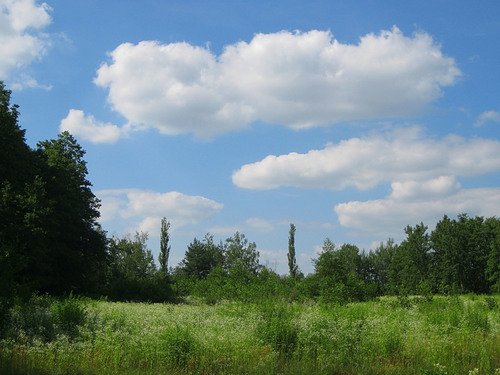 В жарком июне