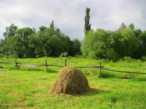 Лето началось