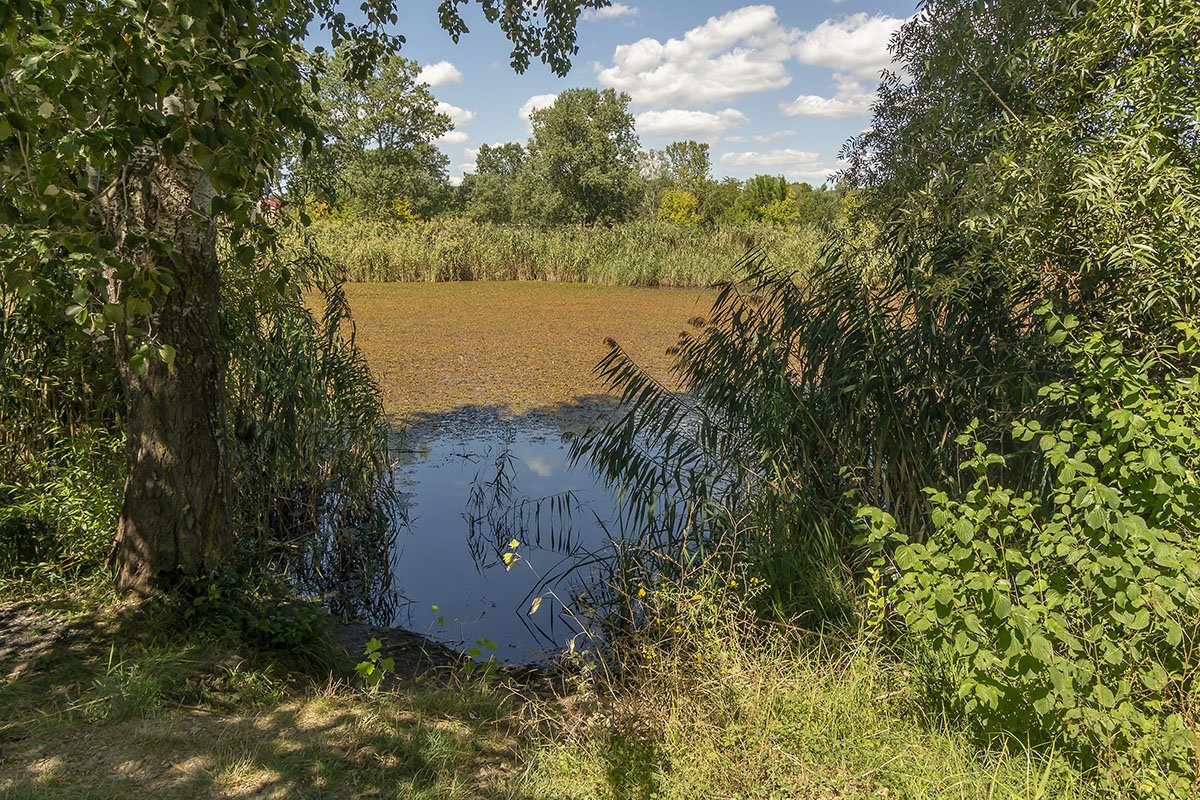 Пляж в горячем ключе фото