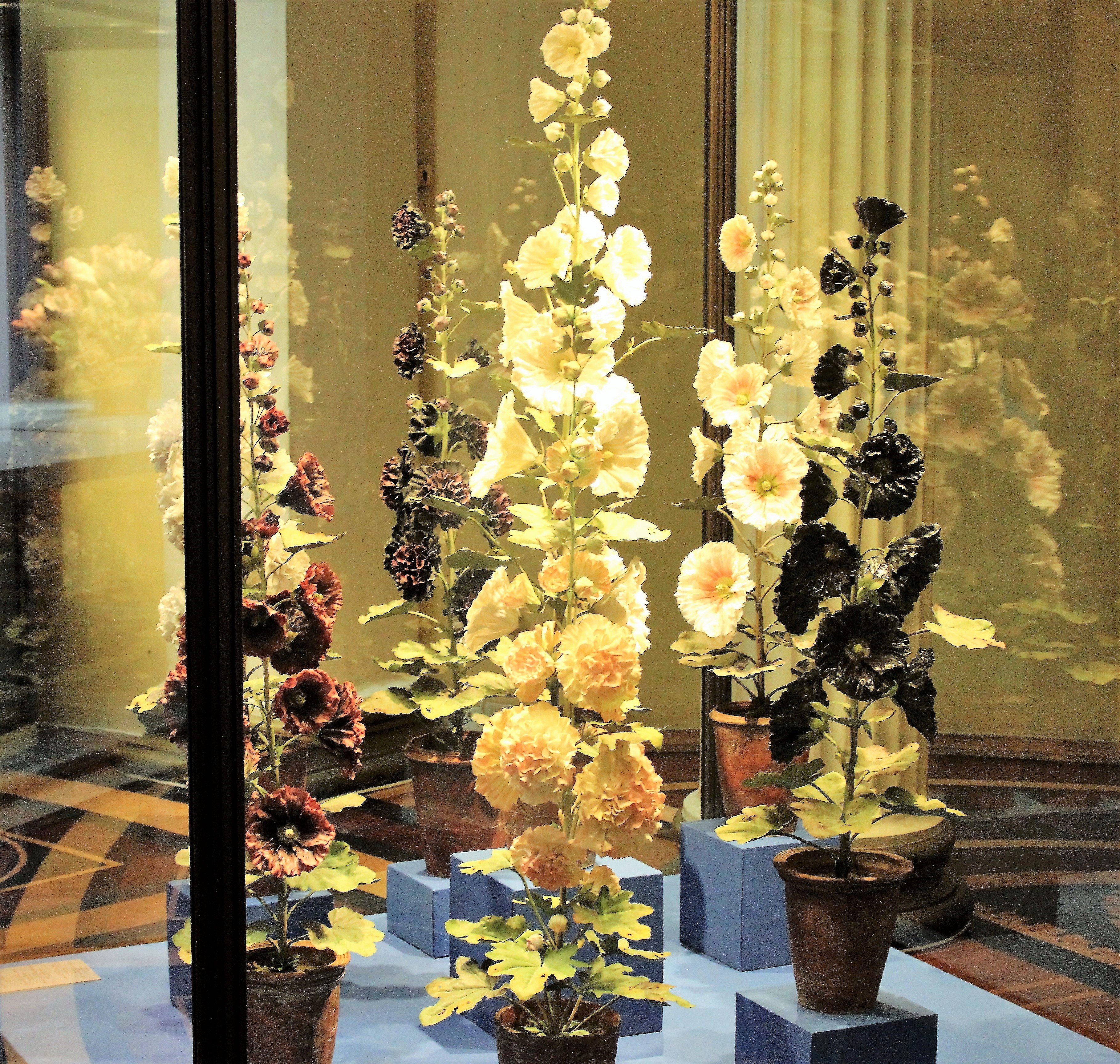 Цветок эрмитаж. Цветок эрмитаж. Цветок эрмитаж. Цветы из фарфора в эрмитаже. Фарфоровые цветы в эрмитаже.