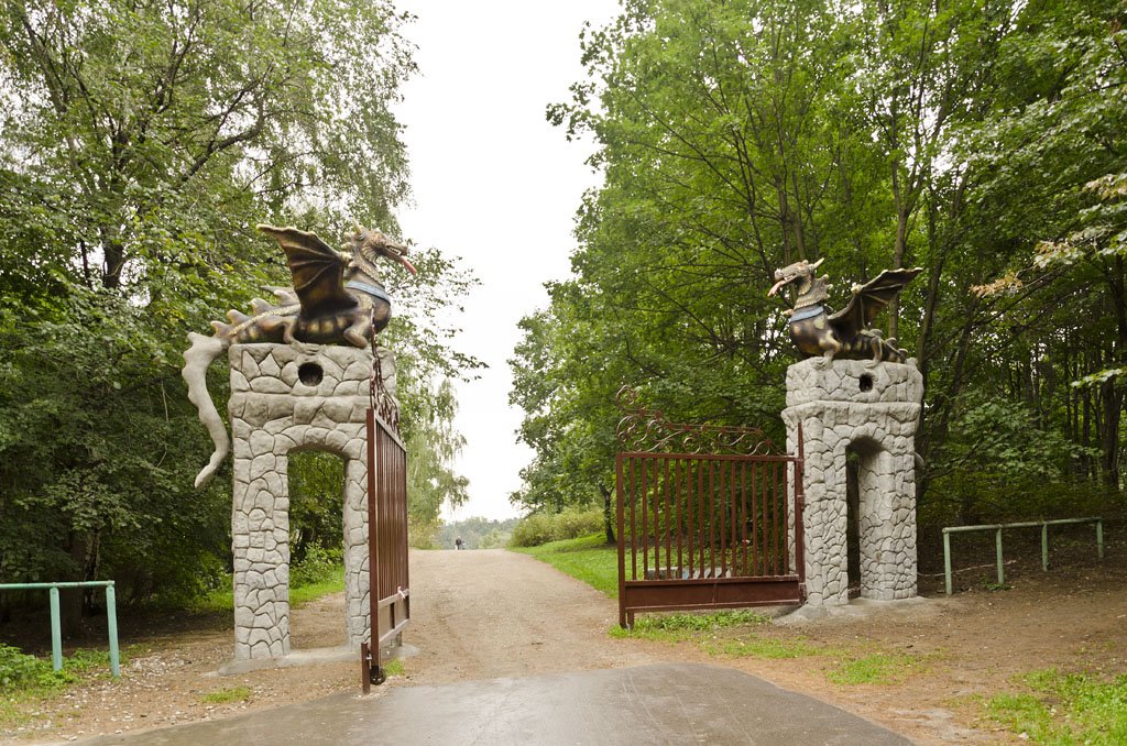 Кузьминки люблино дерево памятник природы