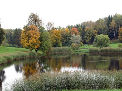 Осень в парке Павловска