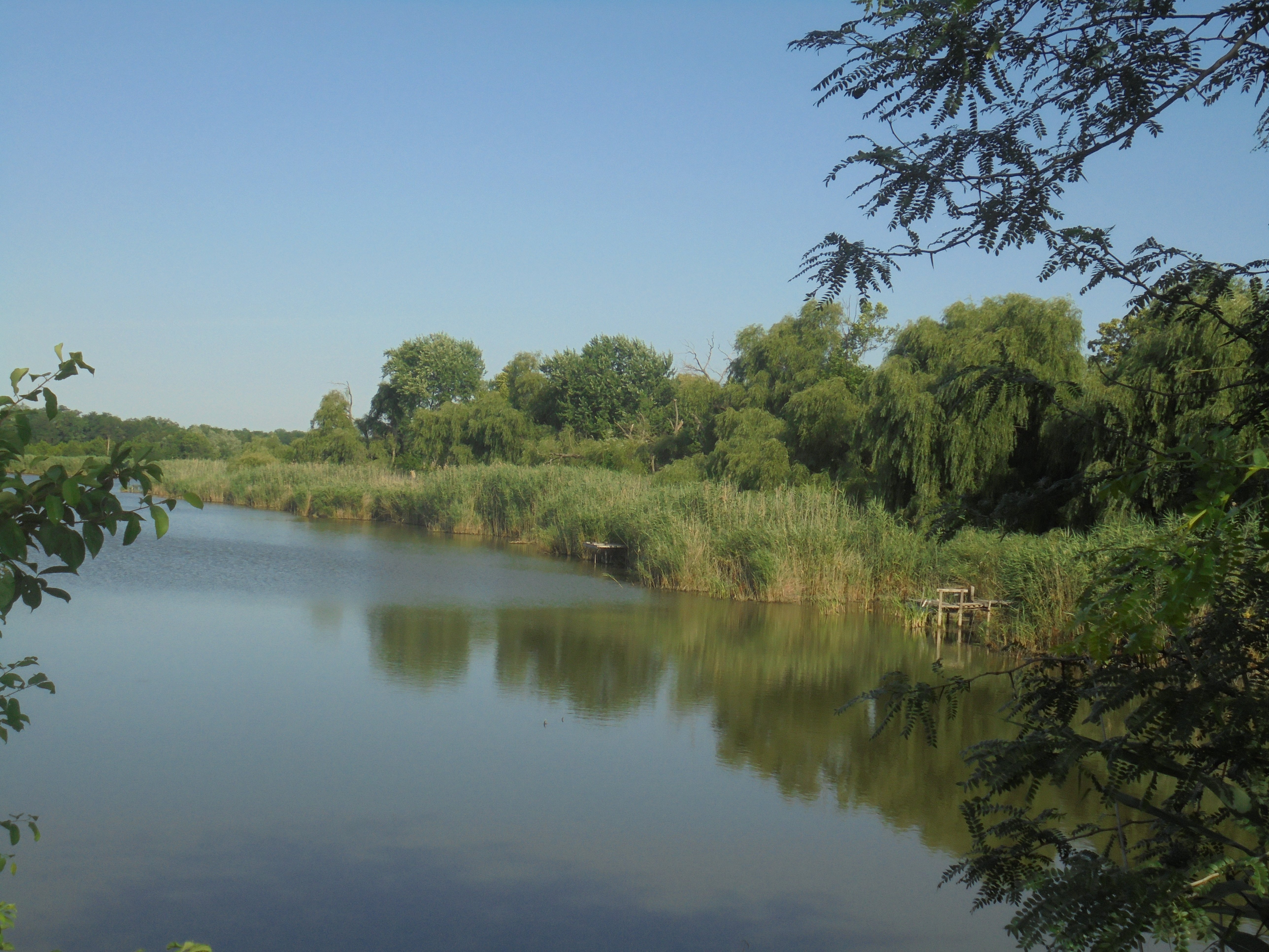 Динская динской краснодарский край. Динской район Краснодарский край. Река ст Динская. Динская Динской район. Станица Динская Краснодарский край озеро.