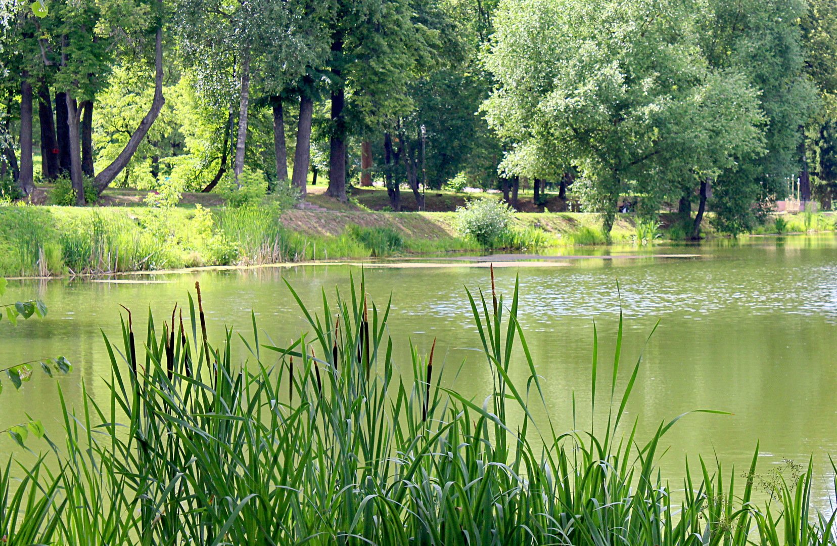 Лопасня Чехов река парк