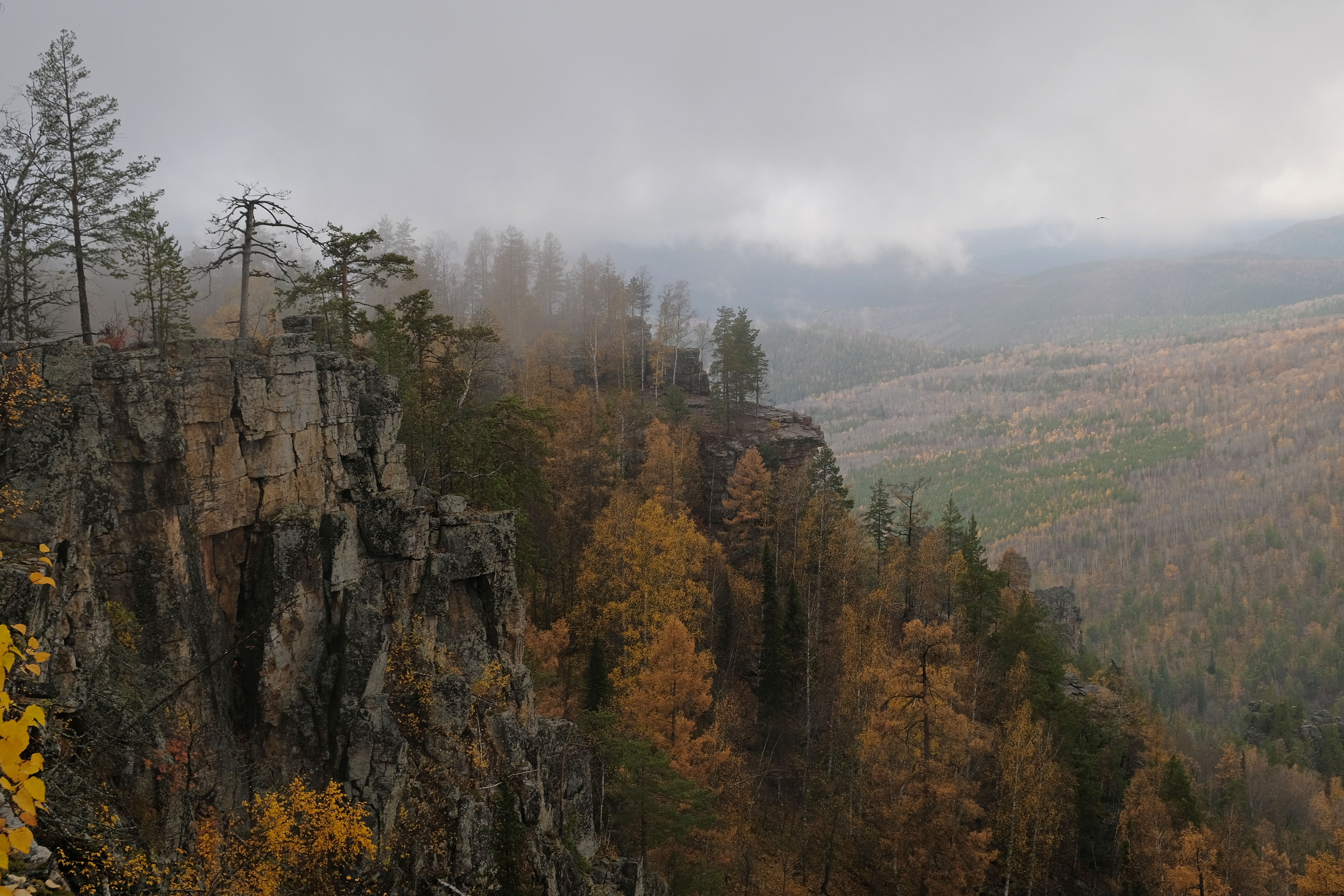 Айгир в дождь