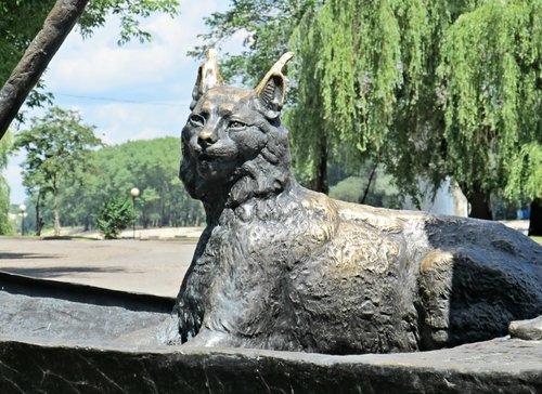 Первопоселенцы
