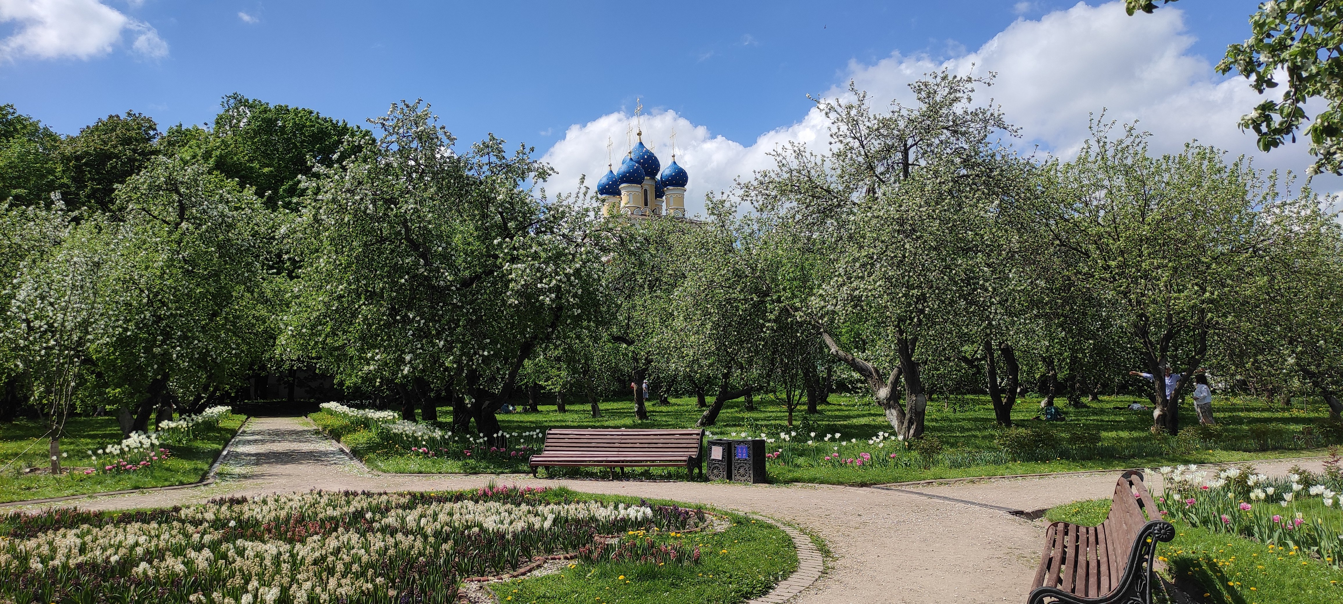 Купить Дом В Брянске Яблоневый Сад