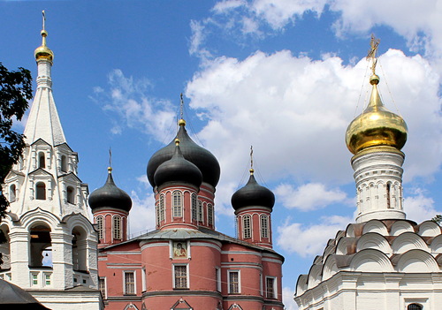 купола  соборов Донского монастыря