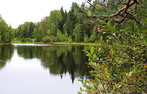 Никоновское озеро