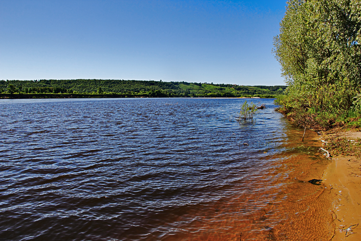 река ока в московской области