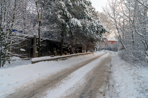 Снежная зима