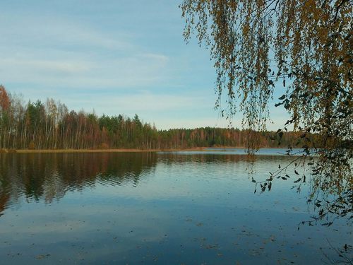 Грузинка, осень