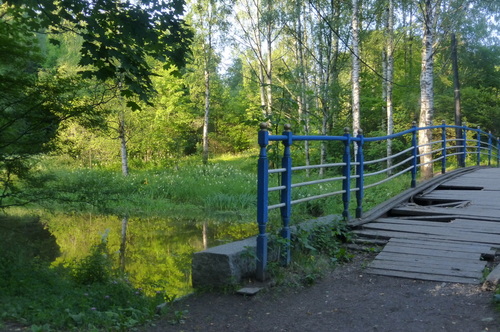 Невский лесопарк
