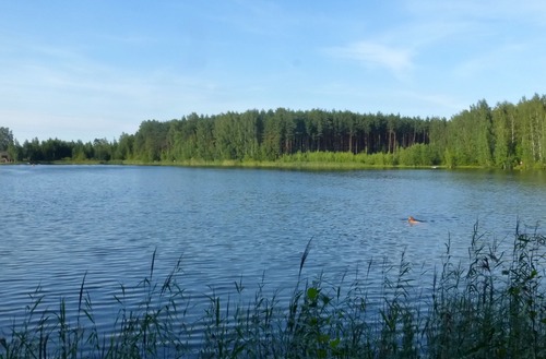 Озеро - карьер