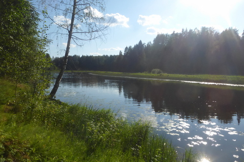 Оредеж