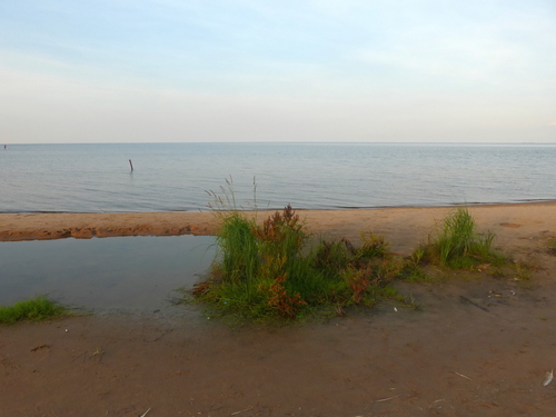 Берег Ладоги