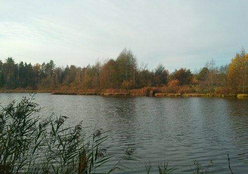 Осенний пейзаж