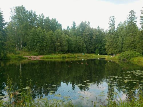 Шуваловский парк