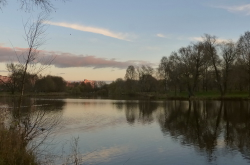 Муринский парк