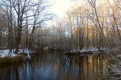 Отражения осени