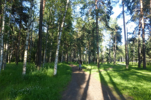 Лесопарк