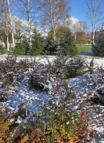 Зимняя осень