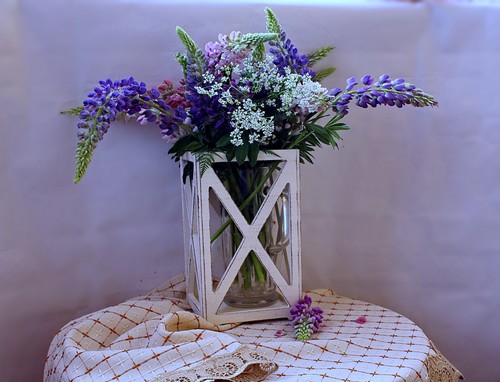 с букетом люпинов