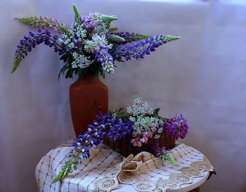 композиция с люпинами