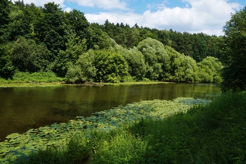 Пахра