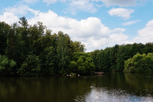 Утренний парк