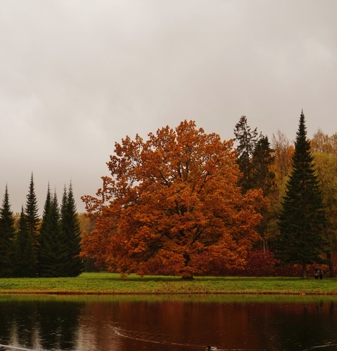 Павловск в сентябре