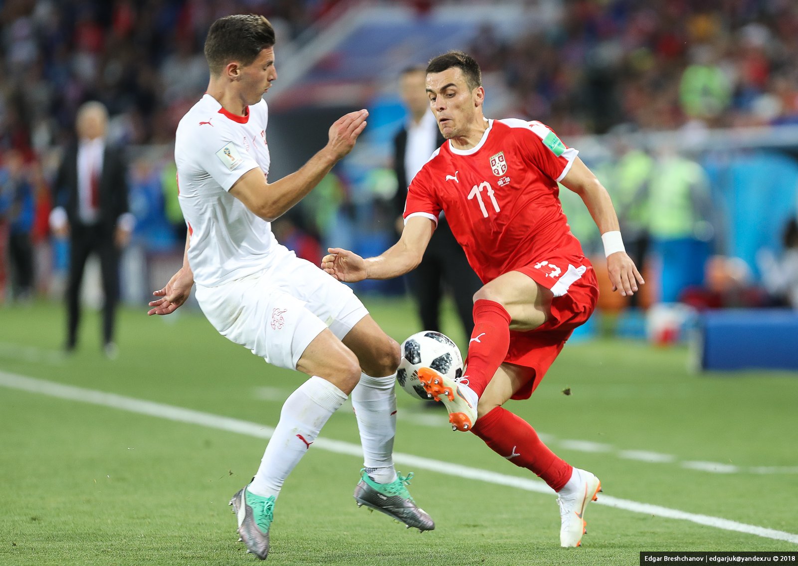 Душан тадич. Футбол 2024 россия. Как сыграли с сербией. Лига наций уефа – сербия. Сборная камеруна.
