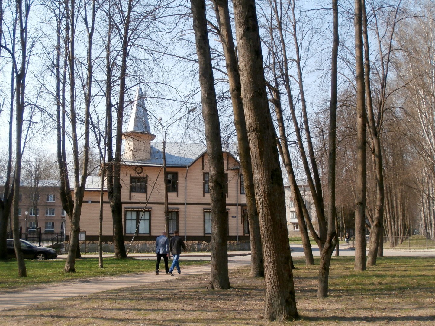 Парголово березовая аллея. Новоуральск Березовая аллея. Березовая аллея 3 Новоуральск. Березовая аллея 25. Березовая аллея 33 Петрозаводск.