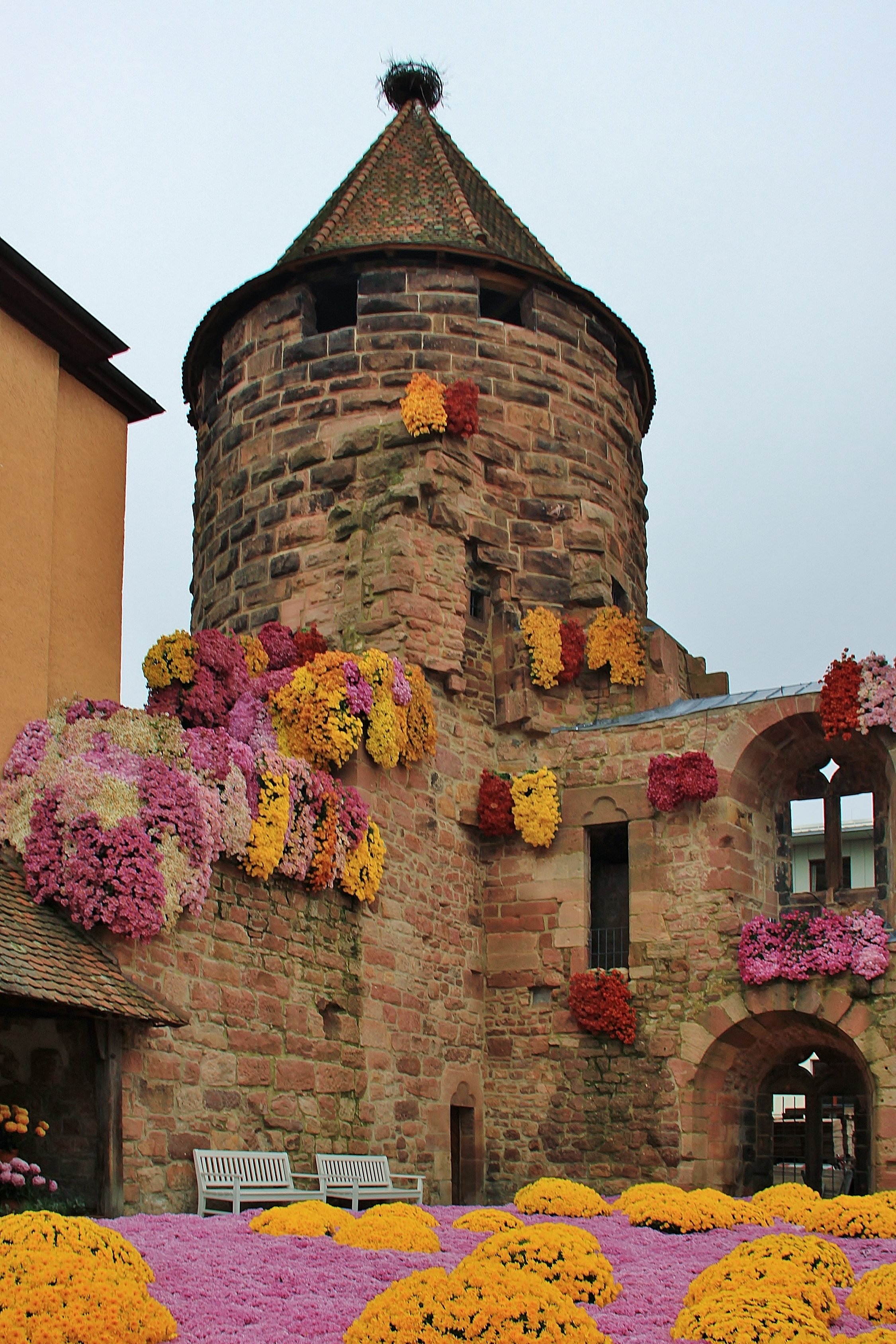 Flower tower