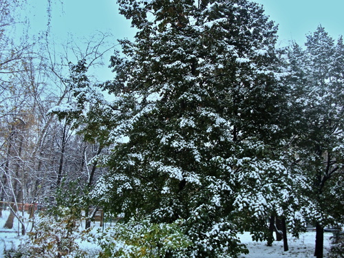 Осенний сюрприз