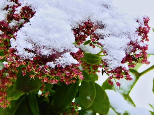 В начале ноября