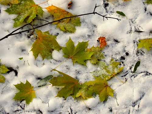Встреча Осени с Зимою