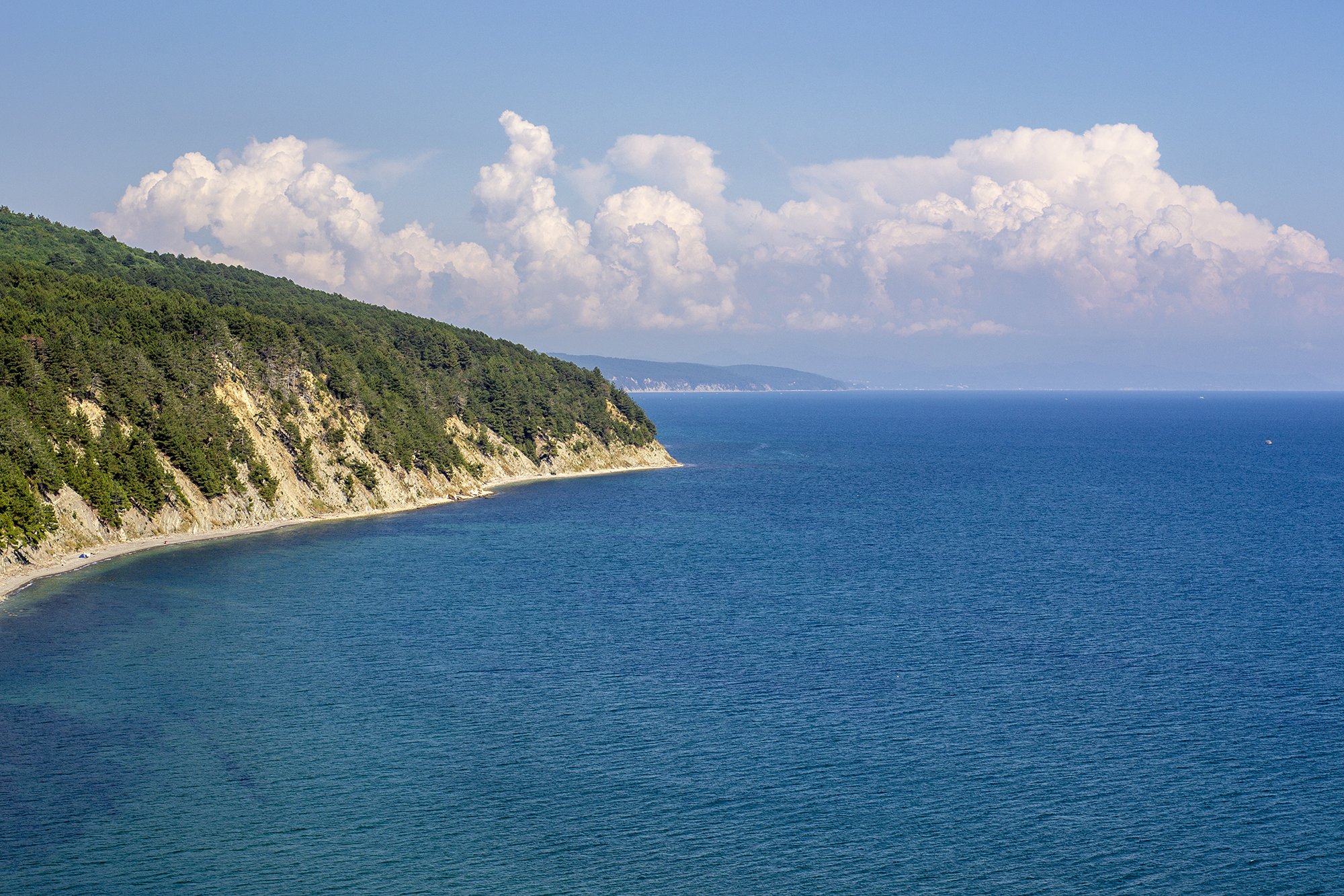 Бетта Краснодарский Край Отдых Фото