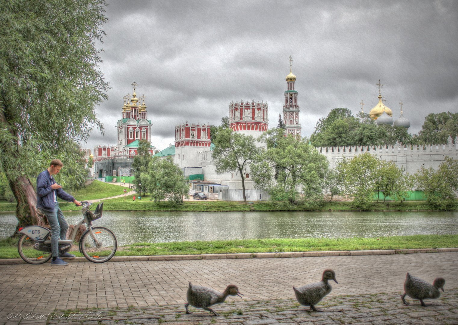 Новодевичий монастырь в Москве утки