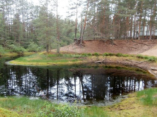 Дачи на берегу водоема